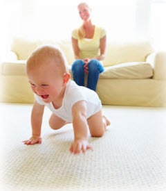 Affordable Price High Quality Carpet Care